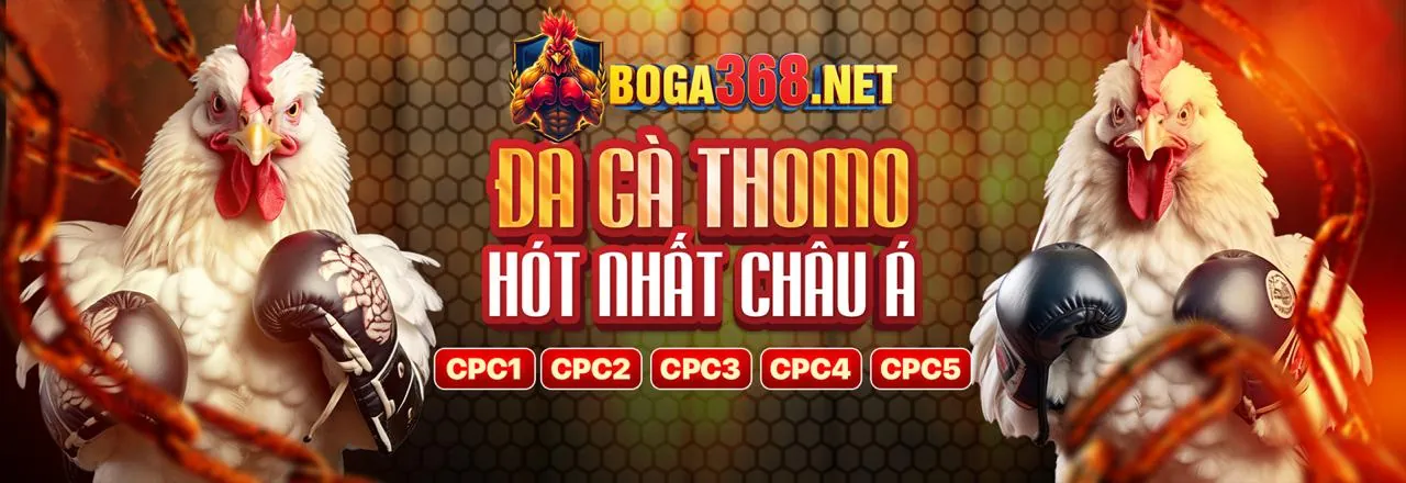 Hình ảnh minh họa GDPR và bảo mật dữ liệu của funn88 nhà cái